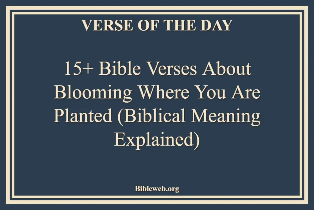 15+ Bible Verses About Blooming Where You Are Planted (Biblical Meaning Explained)