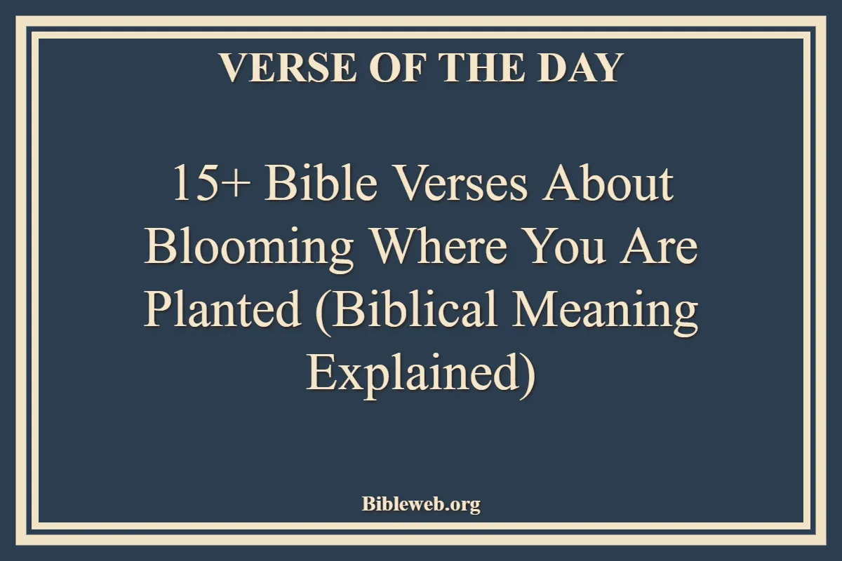 15+ Bible Verses About Blooming Where You Are Planted (Biblical Meaning Explained)