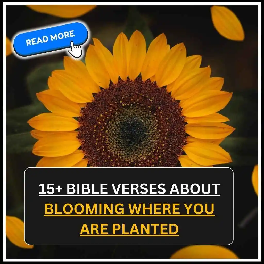 Bible Verses About Blooming Where You Are Planted