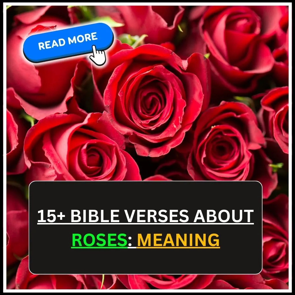 bible verse about roses