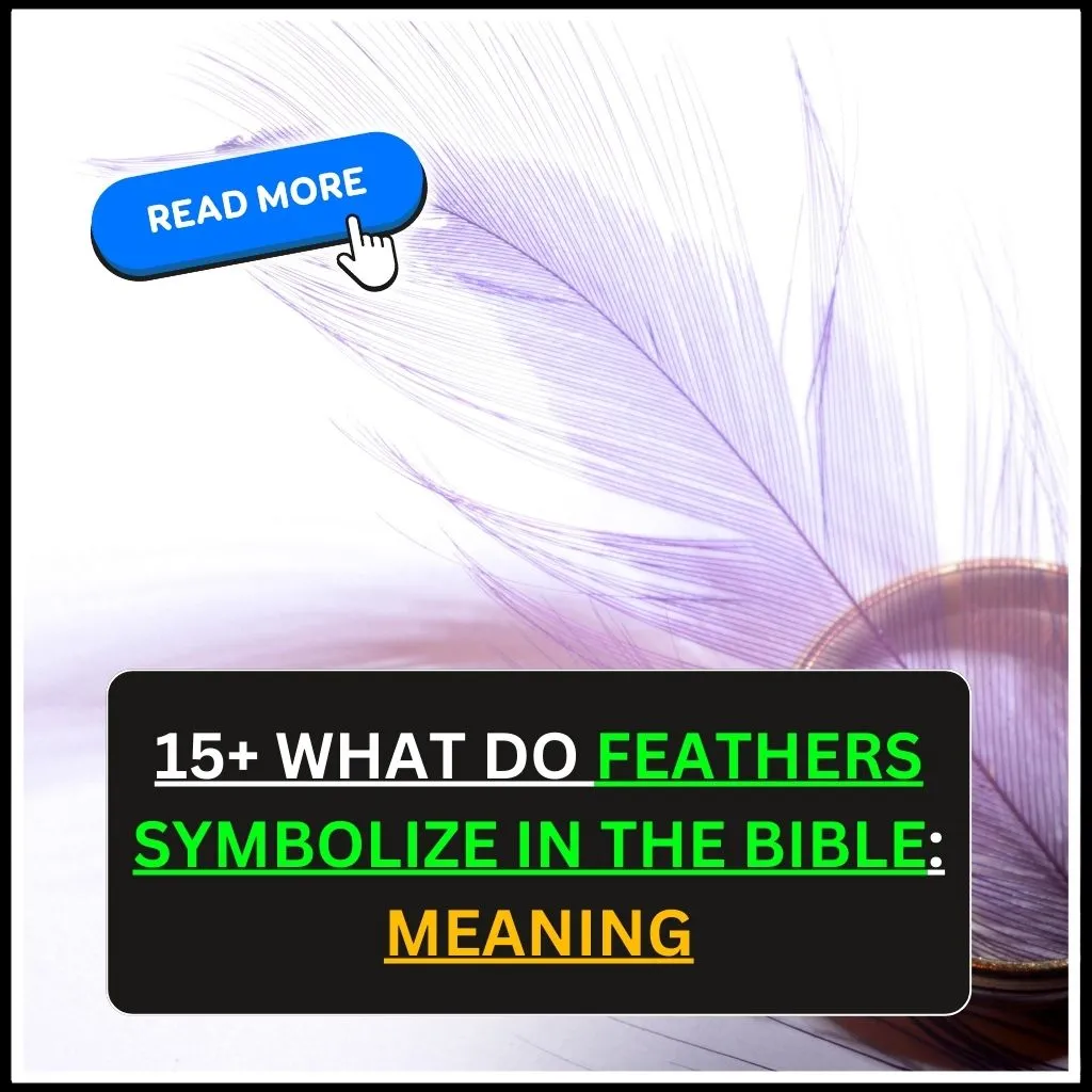 what do feathers symbolize in the bible