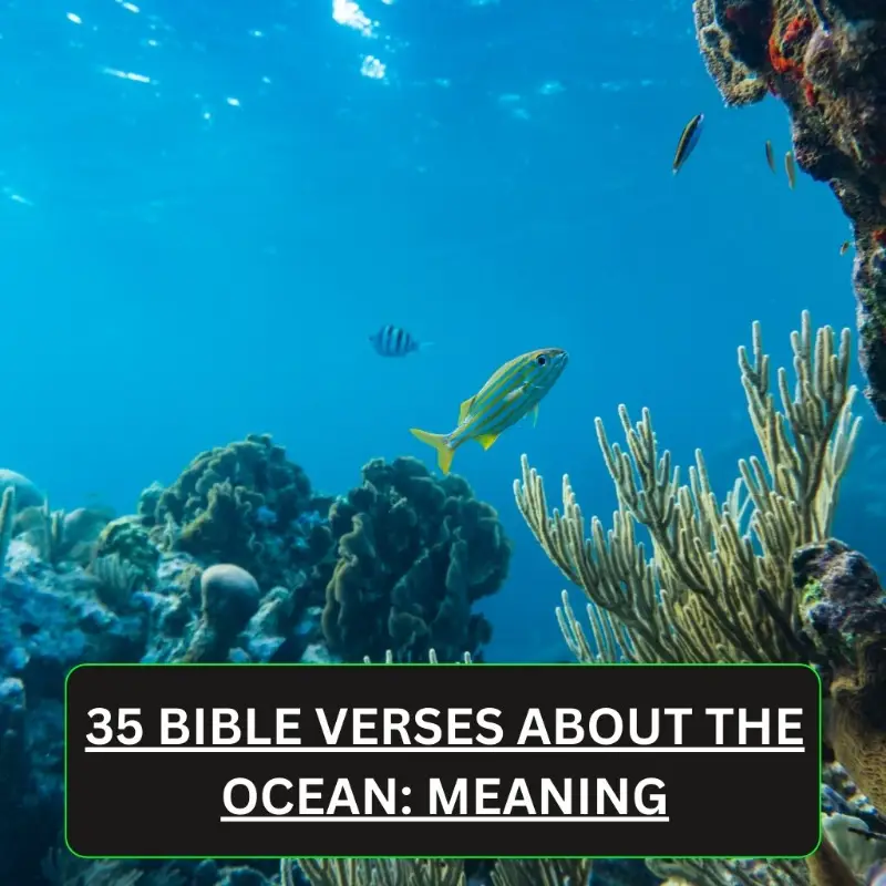 35 Bible Verses About the Ocean Meaning