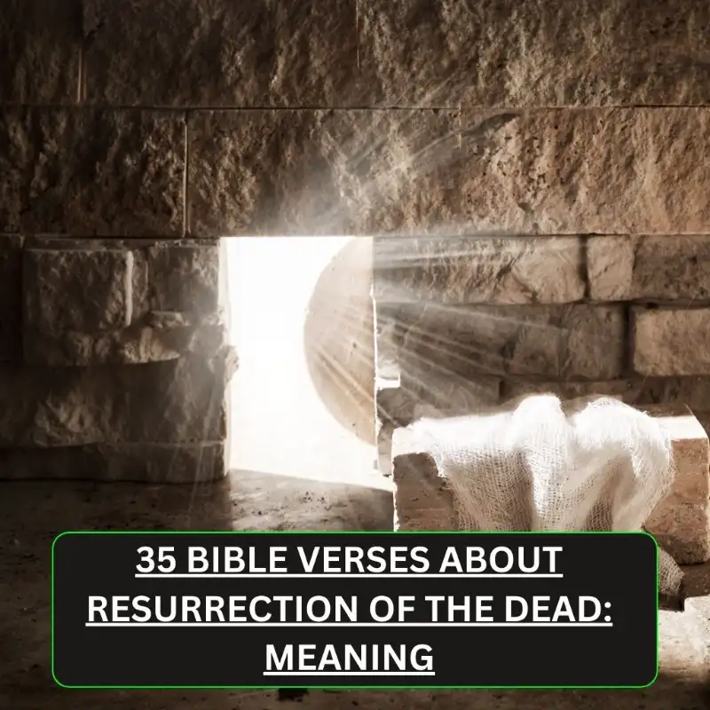 Bible Verses About Resurrection of the Dead