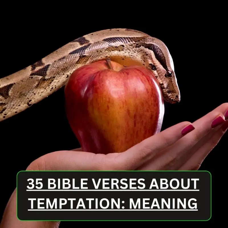 Bible Verses About Temptation