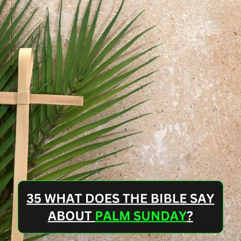 what does the bible say about palm sunday