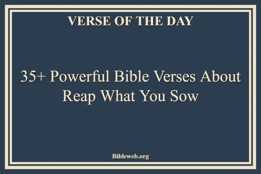 35+ Powerful Bible Verses About Reap What You Sow
