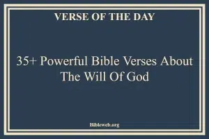 35+ Powerful Bible Verses About The Will Of God