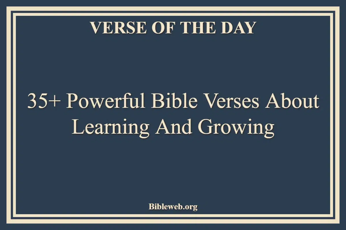 35+ Powerful Bible Verses About Learning And Growing