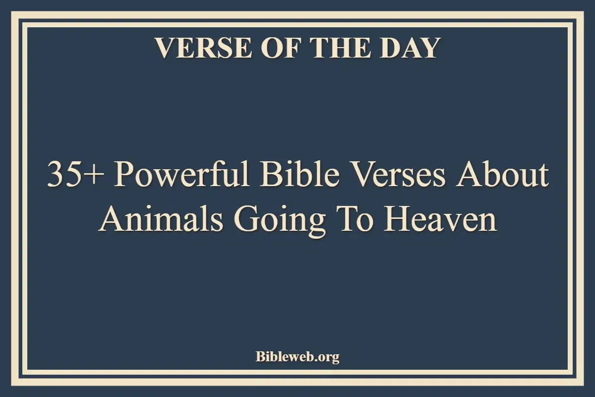 35+ Powerful Bible Verses About Animals Going To Heaven
