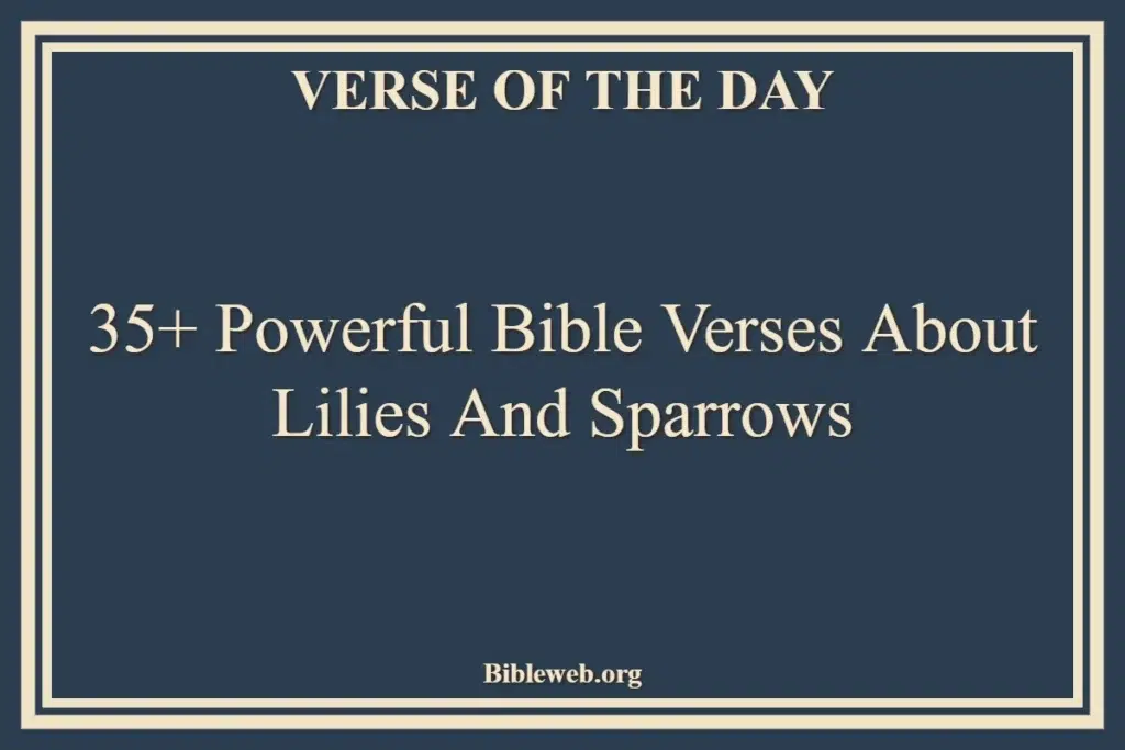 35+ Powerful Bible Verses About Lilies And Sparrows