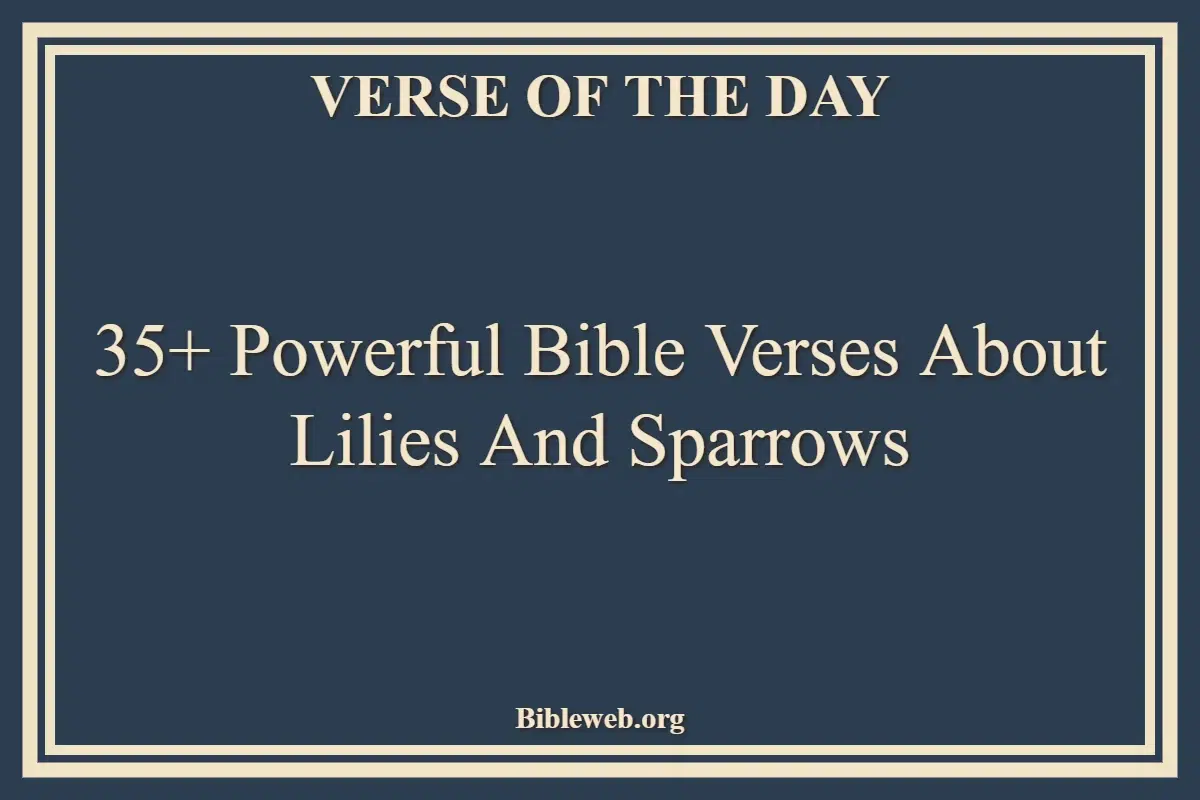 35+ Powerful Bible Verses About Lilies And Sparrows