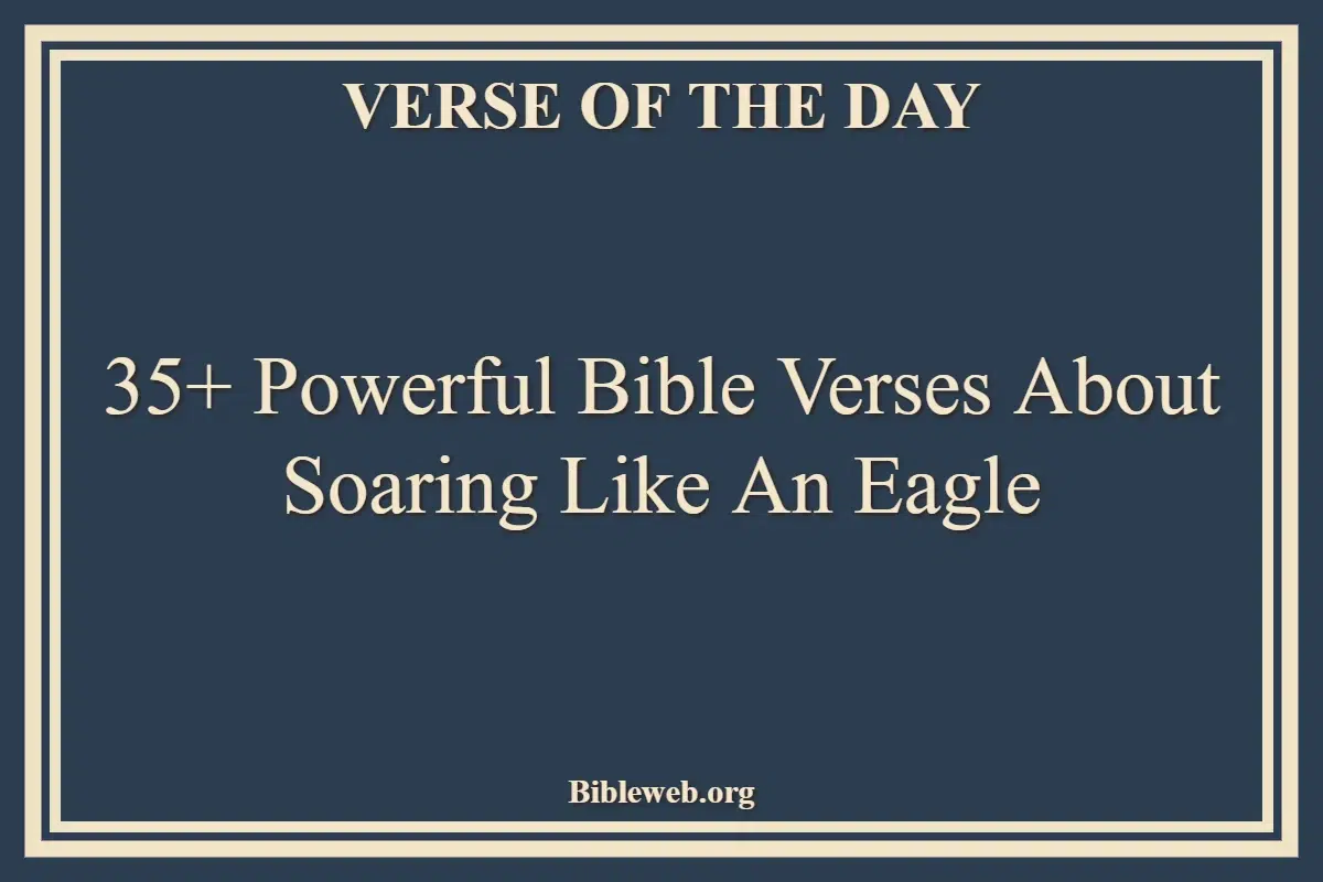 35+ Powerful Bible Verses About Soaring Like An Eagle