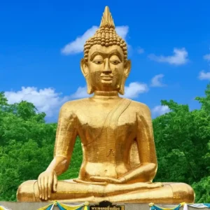 80+ Buddha Quotes About Life