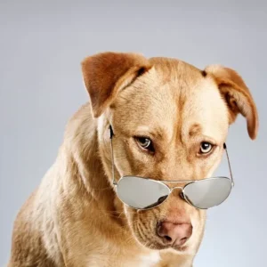 110+ Saturday Quotes Funny