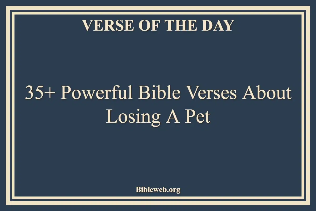 35+ Powerful Bible Verses About Losing A Pet
