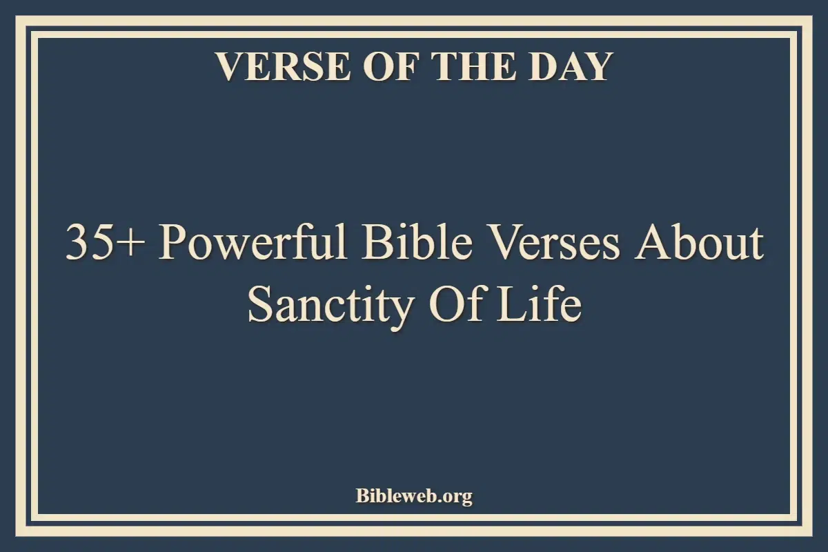 35+ Powerful Bible Verses About Sanctity Of Life