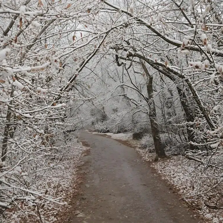 December Quotes Short