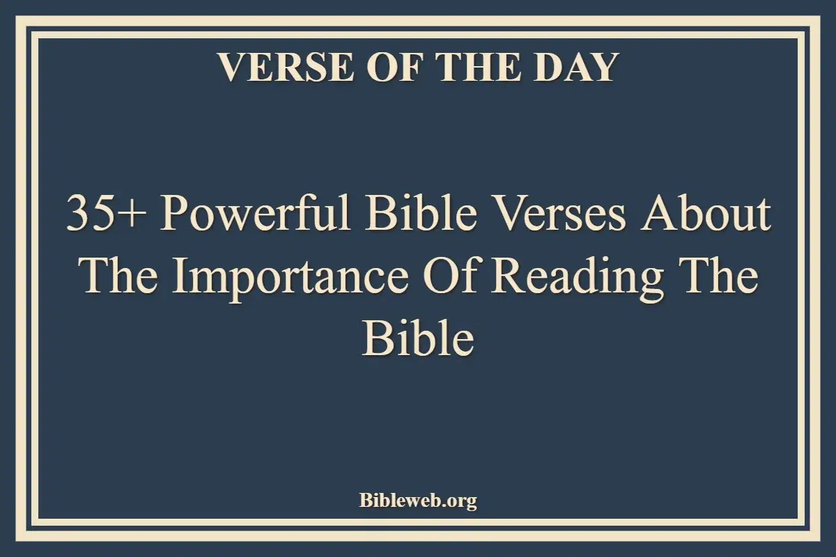 35+ Powerful Bible Verses About The Importance Of Reading The Bible