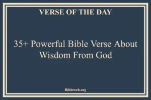 35+ Powerful Bible Verse About Wisdom From God