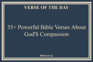 35+ Powerful Bible Verses About God’s Compassion