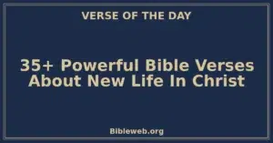35+ Powerful Bible Verses About New Life In Christ