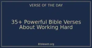35+ Powerful Bible Verses About Working Hard