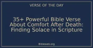 35+ Powerful Bible Verse About Comfort After Death: Finding Solace in Scripture