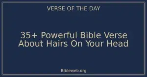 35+ Powerful Bible Verse About Hairs On Your Head