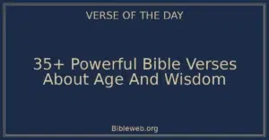 35+ Powerful Bible Verses About Age And Wisdom