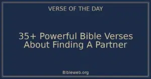 35+ Powerful Bible Verses About Finding A Partner