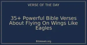 35+ Powerful Bible Verses About Flying On Wings Like Eagles