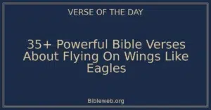35+ Powerful Bible Verses About Flying On Wings Like Eagles