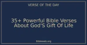 35+ Powerful Bible Verses About God'S Gift Of Life