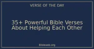 35+ Powerful Bible Verses About Helping Each Other