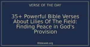 35+ Powerful Bible Verses About Lilies Of The Field: Finding Peace in God's Provision