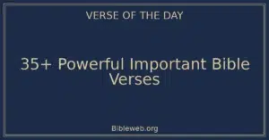 35+ Powerful Important Bible Verses