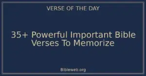 35+ Powerful Important Bible Verses To Memorize