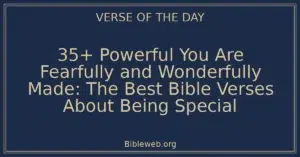 35+ Powerful You Are Fearfully and Wonderfully Made: The Best Bible Verses About Being Special