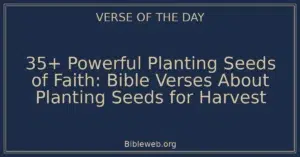 35+ Powerful Planting Seeds of Faith: Bible Verses About Planting Seeds for Harvest