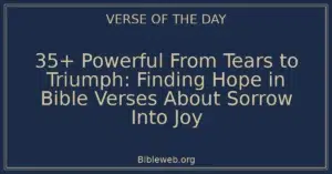 35+ Powerful From Tears to Triumph: Finding Hope in Bible Verses About Sorrow Into Joy
