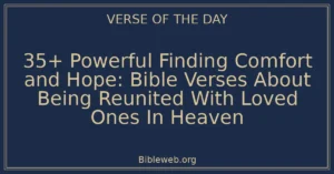 35+ Powerful Finding Comfort and Hope: Bible Verses About Being Reunited With Loved Ones In Heaven