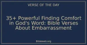 35+ Powerful Finding Comfort in God's Word: Bible Verses About Embarrassment