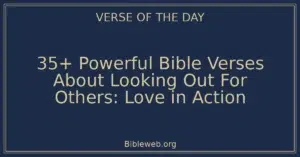 35+ Powerful Bible Verses About Looking Out For Others: Love in Action