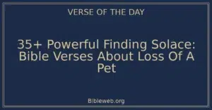35+ Powerful Finding Solace: Bible Verses About Loss Of A Pet