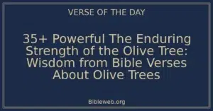 35+ Powerful The Enduring Strength of the Olive Tree: Wisdom from Bible Verses About Olive Trees