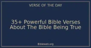 35+ Powerful Bible Verses About The Bible Being True
