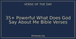 35+ Powerful What Does God Say About Me Bible Verses