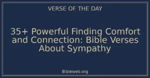 35+ Powerful Finding Comfort and Connection: Bible Verses About Sympathy