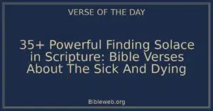 35+ Powerful Finding Solace in Scripture: Bible Verses About The Sick And Dying