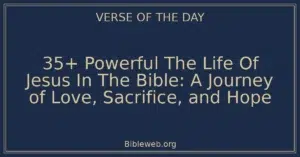 35+ Powerful The Life Of Jesus In The Bible: A Journey of Love, Sacrifice, and Hope